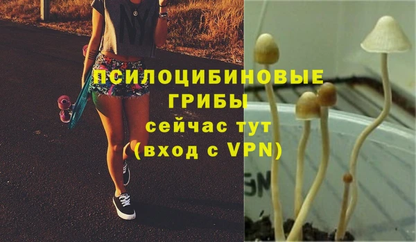 дурь Балабаново