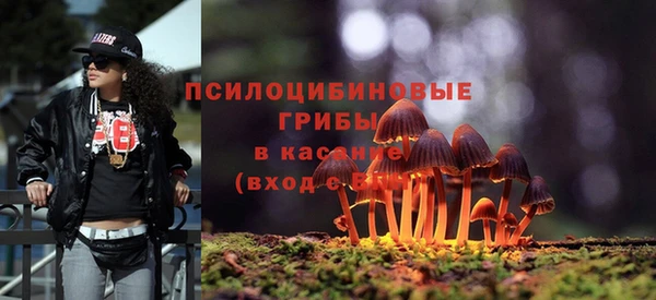 соль ск Балахна