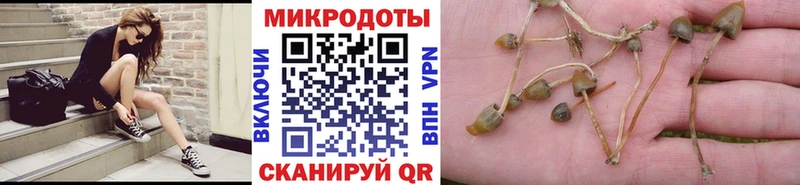 Галлюциногенные грибы прущие грибы  Сковородино 
